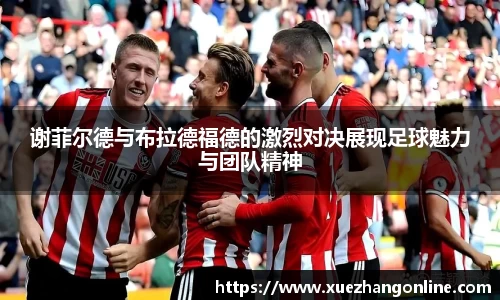 谢菲尔德与布拉德福德的激烈对决展现足球魅力与团队精神